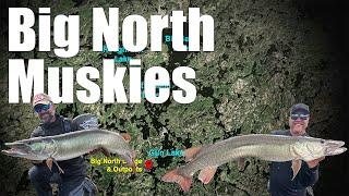 Big North Muskies