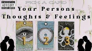 18+ Your Persons Thoughts & Feelings For You Now Reading Pick A Card