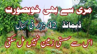 پاکستان پنجاب کی سب سے سستی زمین برائے فروخت Cheap Price Agriculture Land For Sale in Punjab