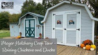 Meyer Hatchery Coop Tour - Raising Ducks and Chickens