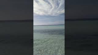 #shorts Panglao beach