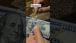 Проверка денег #долар #деньги