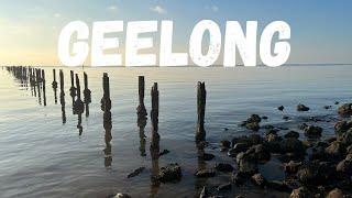 Geelong 1-Day Itinerary - Melbourne Day Trip