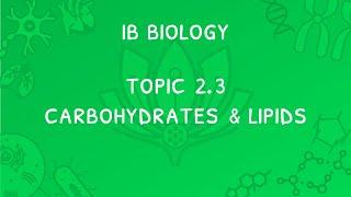 IB Biology Topic 2.3: Carbohydrates & Lipids