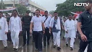 Rahul Gandhi Moves Ahead With Bharat Jodo Yatra Amid Heavy Rain In Karnataka