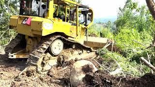 Caterpillar D6R XL Bulldozer Works to Tidy Up Plantation Roads 