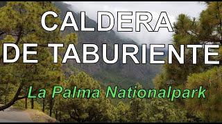 Caldera de Taburiente National Park - La Palma - Canary Islands. 4K