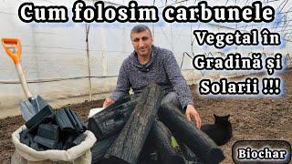 Carbune Vegetal – Cum Să Îmbunătățești Solul Natural în Grădina Ta Bio!