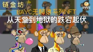 BAYC无聊猿系列NFT：从天堂到地狱的跌宕起伏【链金坊 EP88】