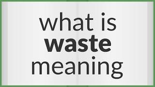 Waste | meaning of Waste