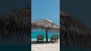 Things to know before any planning to Lakshadweep #shortsvideo #shortsviral #lakshadweep