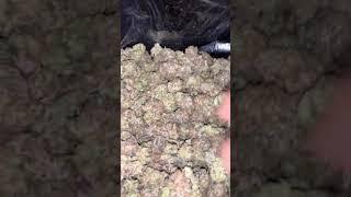 Weed ASMR - Gelato