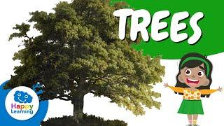 Growing a Tree - Learn English for kids - English educational video