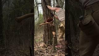 Building a Log Cabin by Hand Part 8 #logcabin #cabin #logger #axe #bushcrafter #woodworking #diy