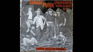 Various - Garage Punk Unknowns Vol 8 Mid 60s Full Album Vinyl 1995