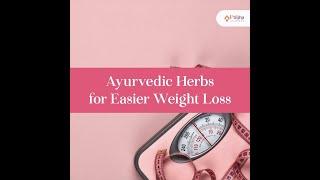 Ayurvedic Herbs to Support Your Weight Loss Efforts