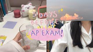 vlog #04 5 days before my AP exam, study vlog / อ่านหนังสือ จดสรุป เรียนออนไลน์ ทำขนม unbox