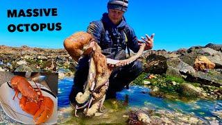 Massive OCTOPUS & LOBSTERS , Coastal Foraging , Boiled lobsters for lunch