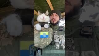 Котики ЗСУ на варті! Боятись немає ЧОГО #shorts