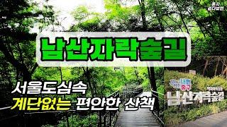 새로 개통! 서울도심을 울창한 숲속길로 관통 | '남산자락숲길' | 계단없이 편안한 평지를 걷는 무장애숲길 | 지하철-to-지하철 여행 | 서울의 새로운 명물