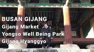 Busan Gijang Day Trip: Parks and Historical Sites