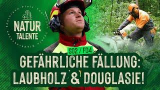 Gefährliche Fällung: Laubholz &  Douglasie I #NATURTALENTE Folge 4 I Staffel 2