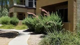 Scottsdale Home For Rent - 1 Bed 1 Bath - by Property Management in Scottsdale