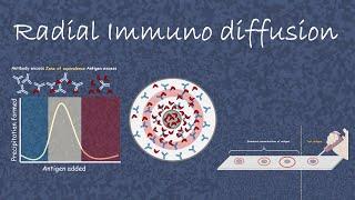 Radial Immuno Diffusion
