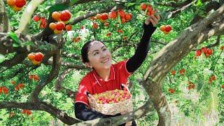 Harvest Acerola Cherry Goes to the market sell - Delicious fruit dishes | Emma Daily Life