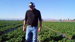 Support Canadian Farmers - Food for Thought