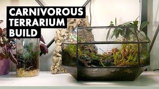 The Carnivorous Capsule Terrarium Build