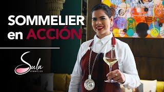 SOMMELIER EN ACCIÓN I @SULASOMMELIER