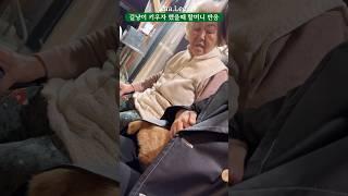 고양이 무서워하는 할머니에게 길냥이 키우자 했을때 반응 ㅋㅋㅋ