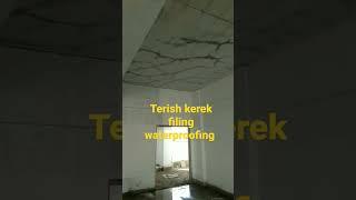 terish waterproofing #viral #shortsvideo #waterproofing #civil #plaster