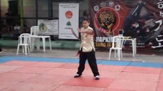 FAMILIA KUNG FU HUNG GAR (ASSOCIAÇÃO PUNHOS UNIDOS FORTALEZA)