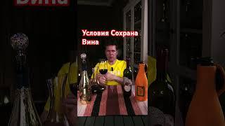 Как хранить вино