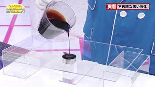 不思議な動き 磁性流体／Mysterious Motion -Ferrofluid