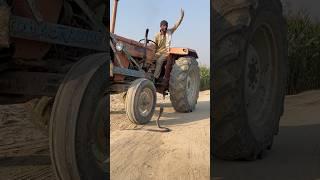 Kisan Naag dekh kar tractor se neeche utar aye