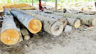 Unlocking the Secret of Advanced Techniques in Sawing Coconut Trees!