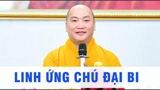 Linh Ứng Chú Đại Bi  - (Trích đoạn ngắn) - Thầy Thích Phước Tiến