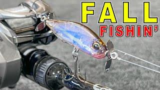 Fall Fishing Tricks To Keep Catching Fish! (Finesse And Reaction)