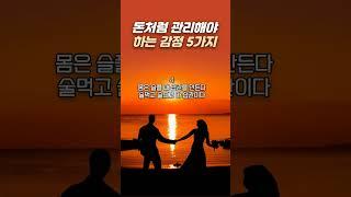 돈처럼 관리 해야 하는 감정 5가지 I 감정조절 I 감정 소비 하지 말기 I 인생조언 I 인생명언 I 삶의지혜 I 멘탈관리 I 마인드