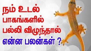 Lizard falling on body parts Interesting prediction based on ancient Shastra