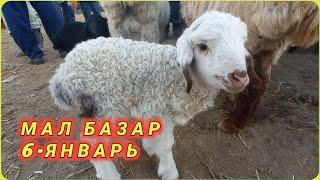 МАЛ БАЗАР ҚАНЛЫКОЛ 06-01-2021/QANLIKOL MAL BAZARI