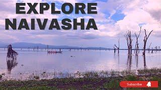 A Day in Naivasha Town with Stunning Lake Naivasha Views