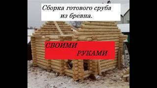 Сборка сруба для бани своими руками