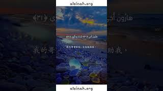 Surah Tā-ha #quran  #translation #chinese #quranmemorization #alsinah #peace #islamicrecitation