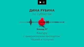 ДИНА РУБИНА Кенгуру с американским паспортом, Чацкий и попугай  | #подкаст