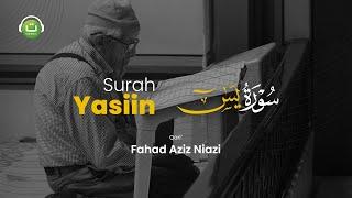 Surah Yasiin Merdu | Fahad Aziz Niazi | سورة يس
