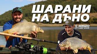 ШАРАНИ на ДЪНО - РИБОЛОВ и МОНТАЖИ с CARP MOJO